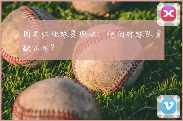 国足归化球员现状:他们对球队贡献几何?